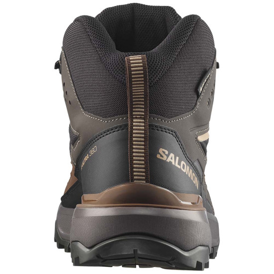 Salomon X Ultra 360 MID GTX